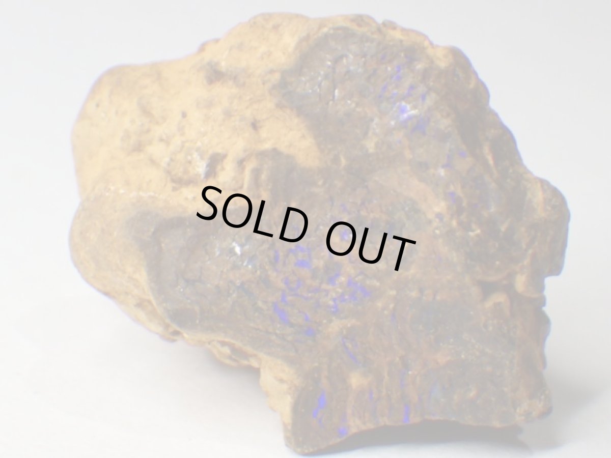 画像3: オパール化ストロマトライトＤ (3)