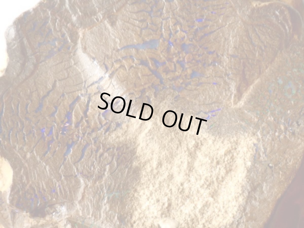 画像3: オパール化ストロマトライト大Ａ (3)