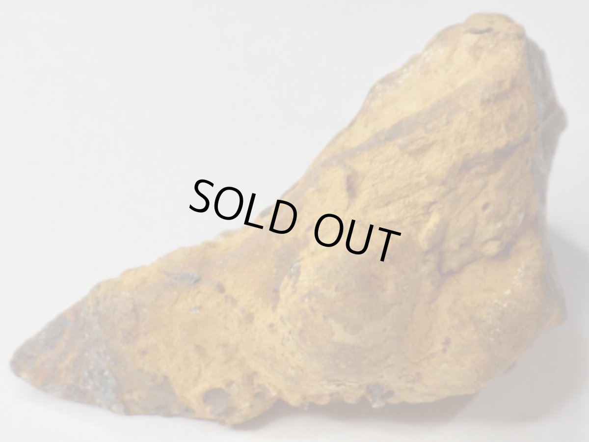 画像6: オパール化ストロマトライトＤ (6)