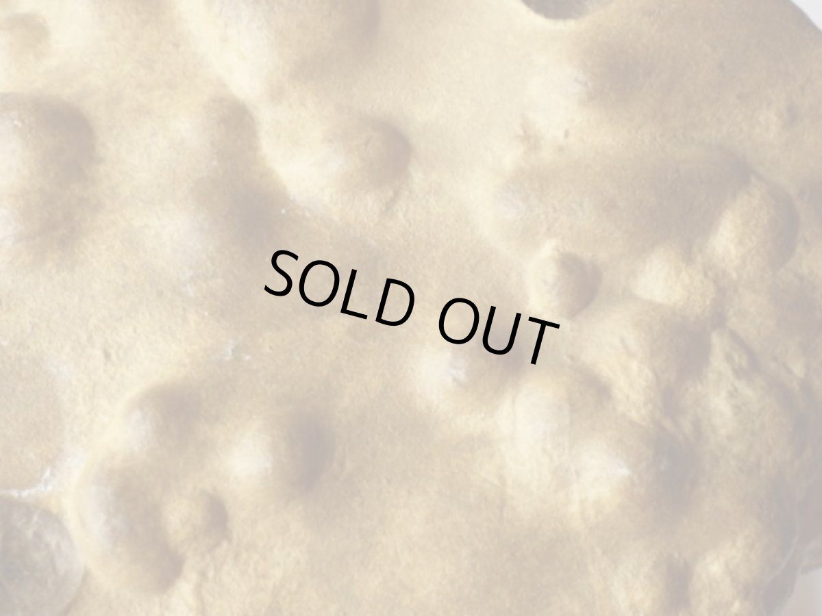 画像7: オパール化ストロマトライト大Ａ (7)