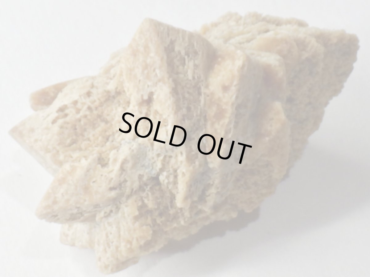 画像3: ミニグレンドナイトＦ (3)