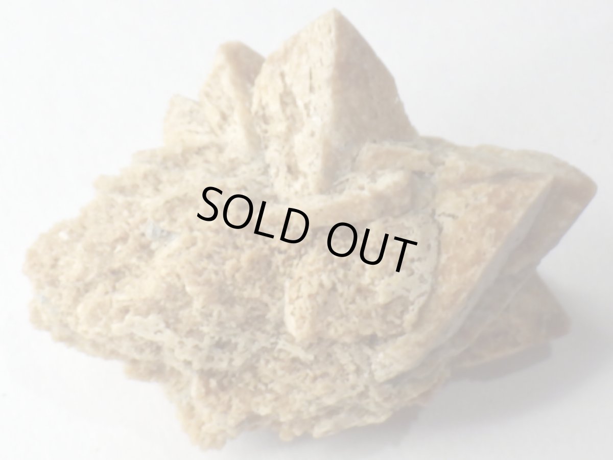 画像2: ミニグレンドナイトＦ (2)