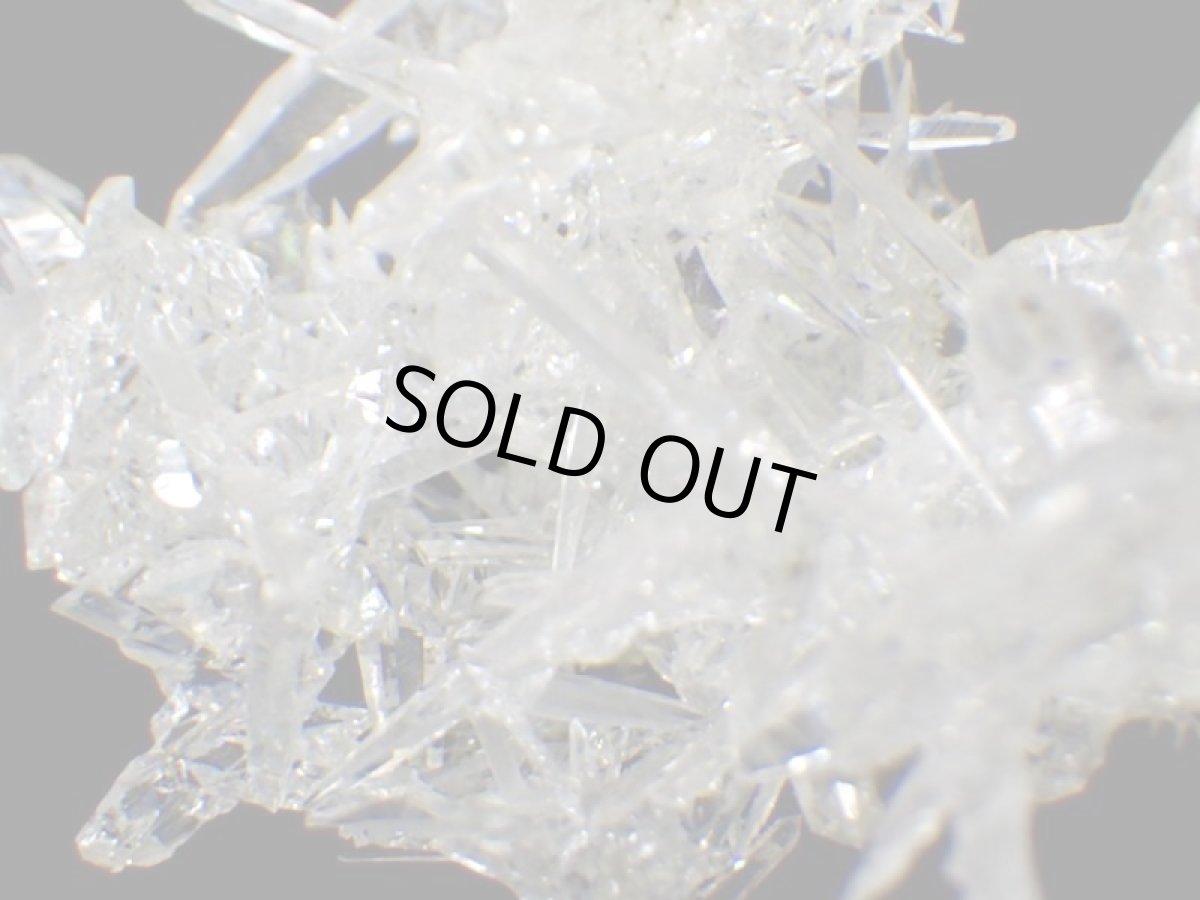 画像9: ジンカイトＧ (9)