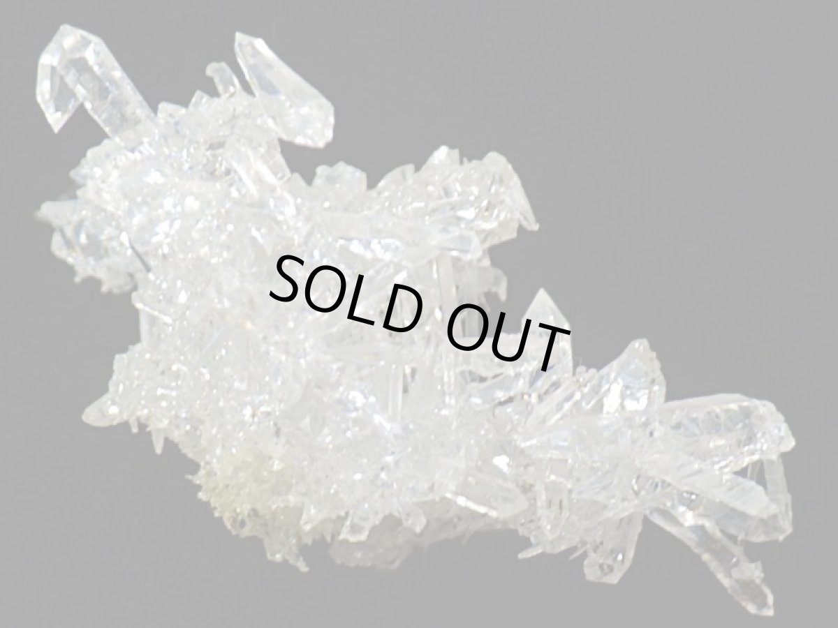 画像8: ジンカイトＧ (8)