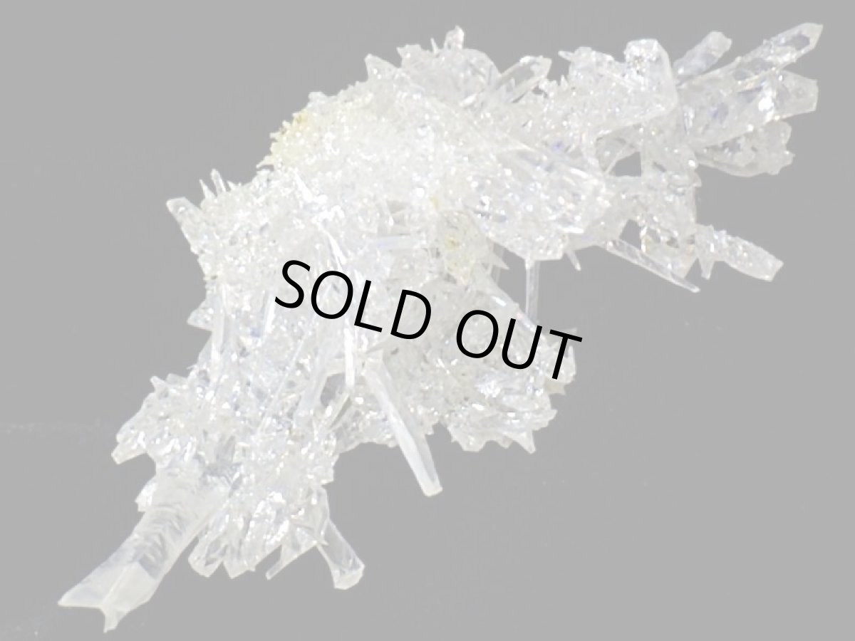 画像4: ジンカイトＧ (4)