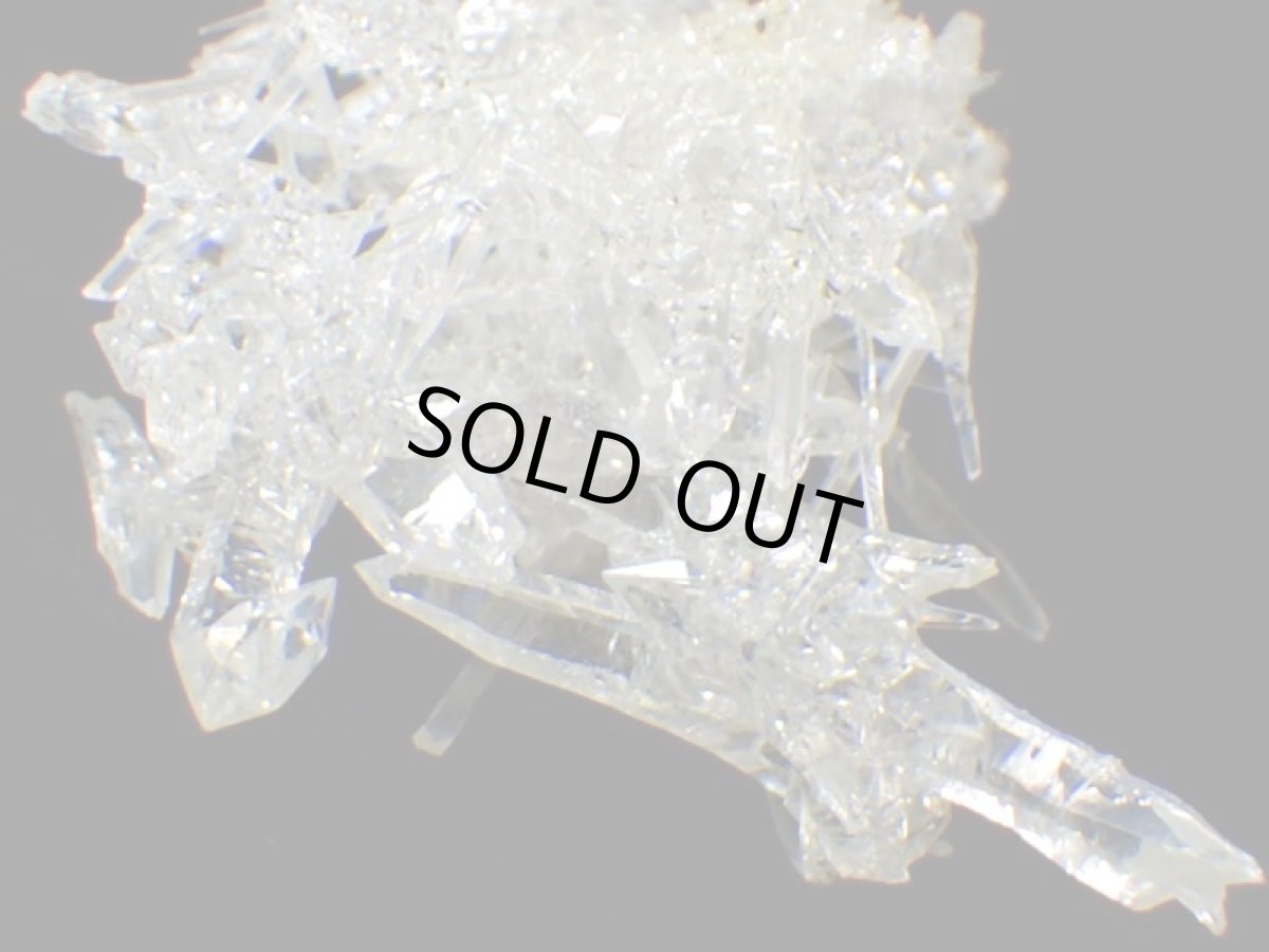 画像10: ジンカイトＧ (10)