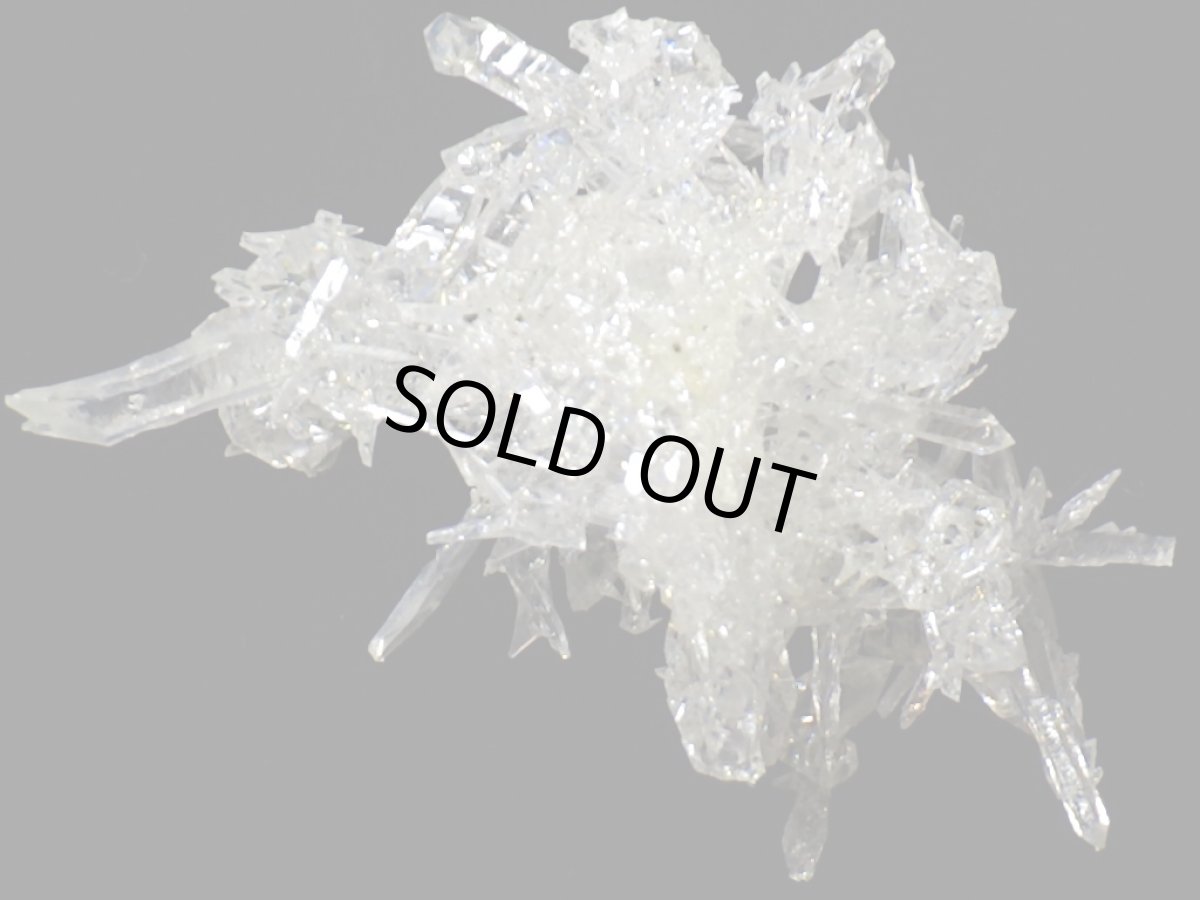 画像2: ジンカイトＧ (2)