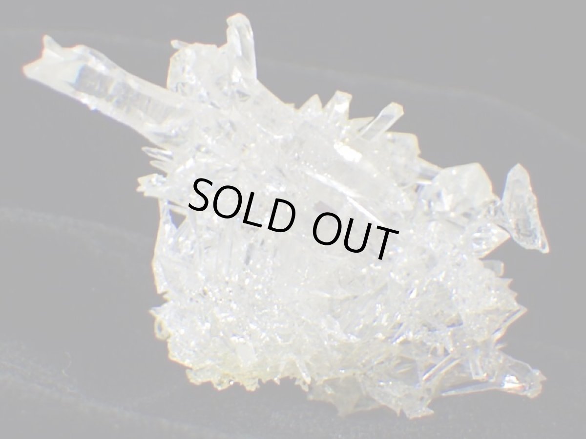 画像7: ジンカイトＧ (7)