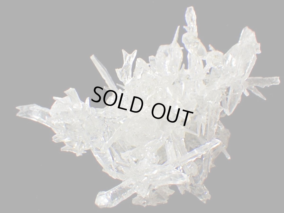 画像5: ジンカイトＧ (5)