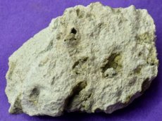 画像6: ネバダ産母岩付き金結晶Ｆ (6)