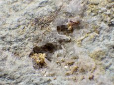 画像3: ネバダ産母岩付き金結晶Ｅ (3)
