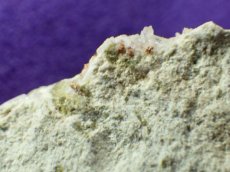 画像2: ネバダ産母岩付き金結晶Ｆ (2)