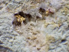 画像1: ネバダ産母岩付き金結晶Ｅ (1)