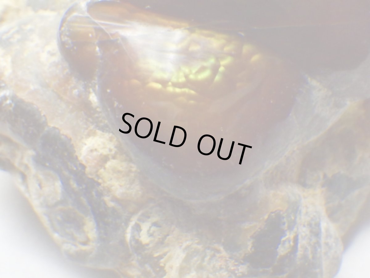 画像2: ファイアアゲート一面磨きＣ (2)