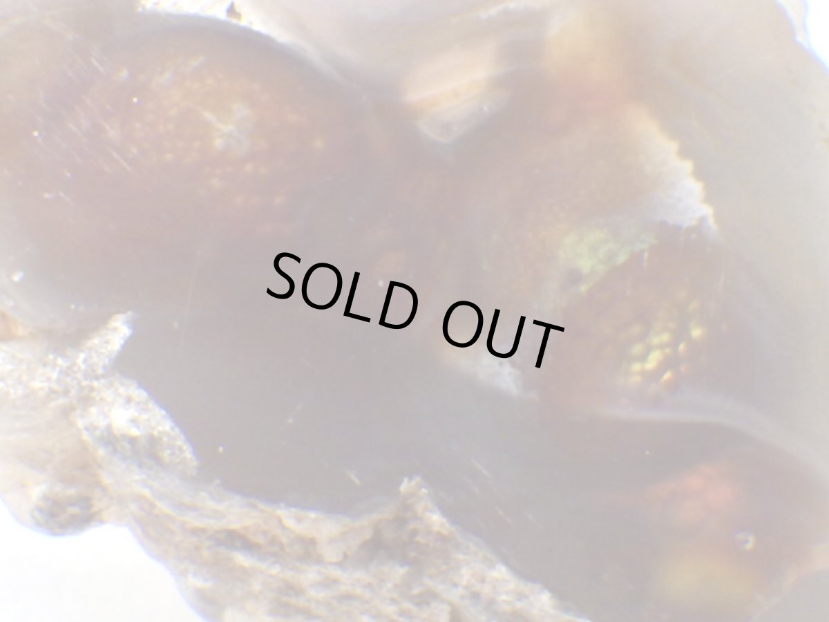 画像1: ファイアアゲート一面磨きＨ (1)