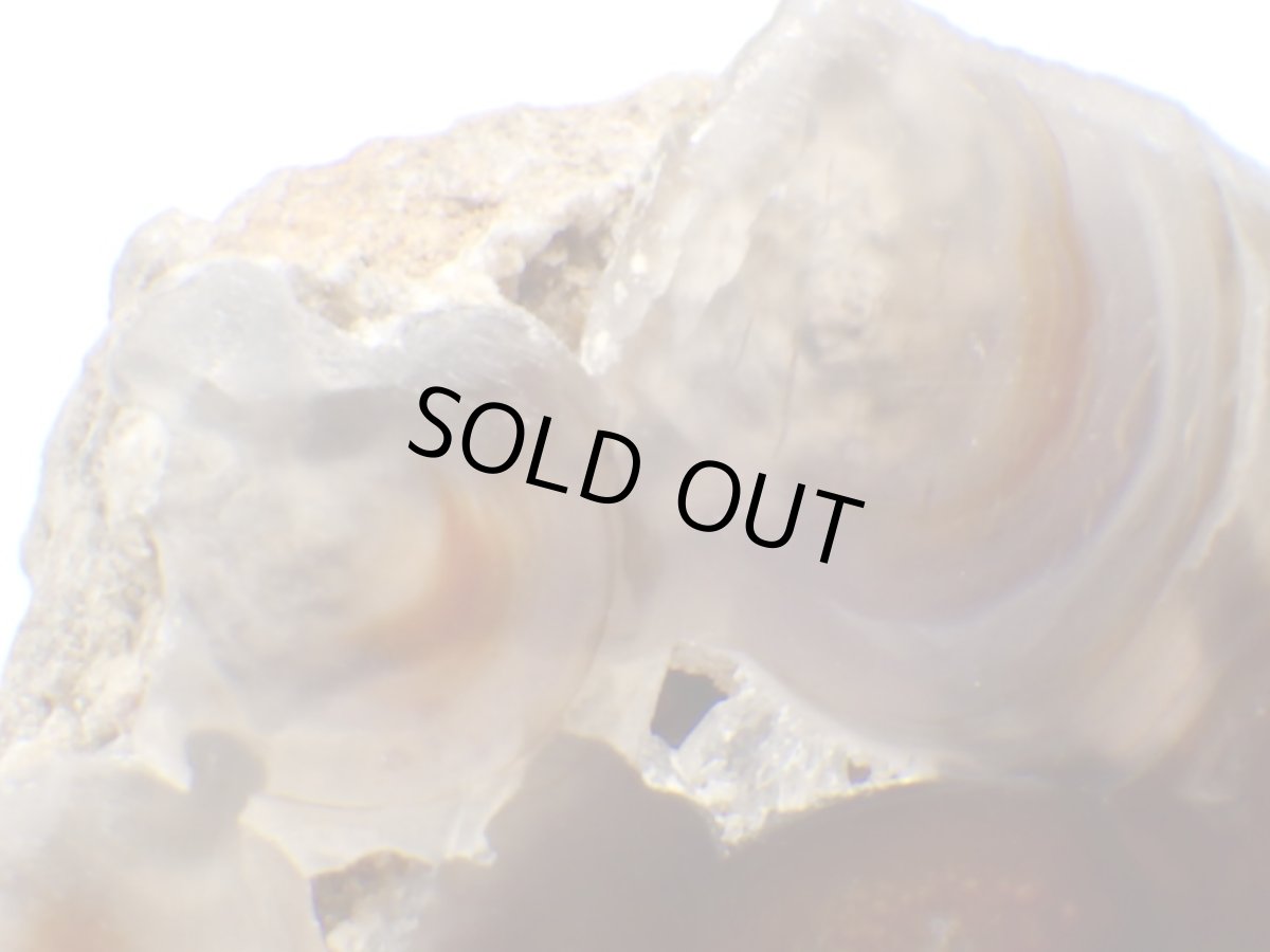 画像4: ファイアアゲート一面磨きＨ (4)