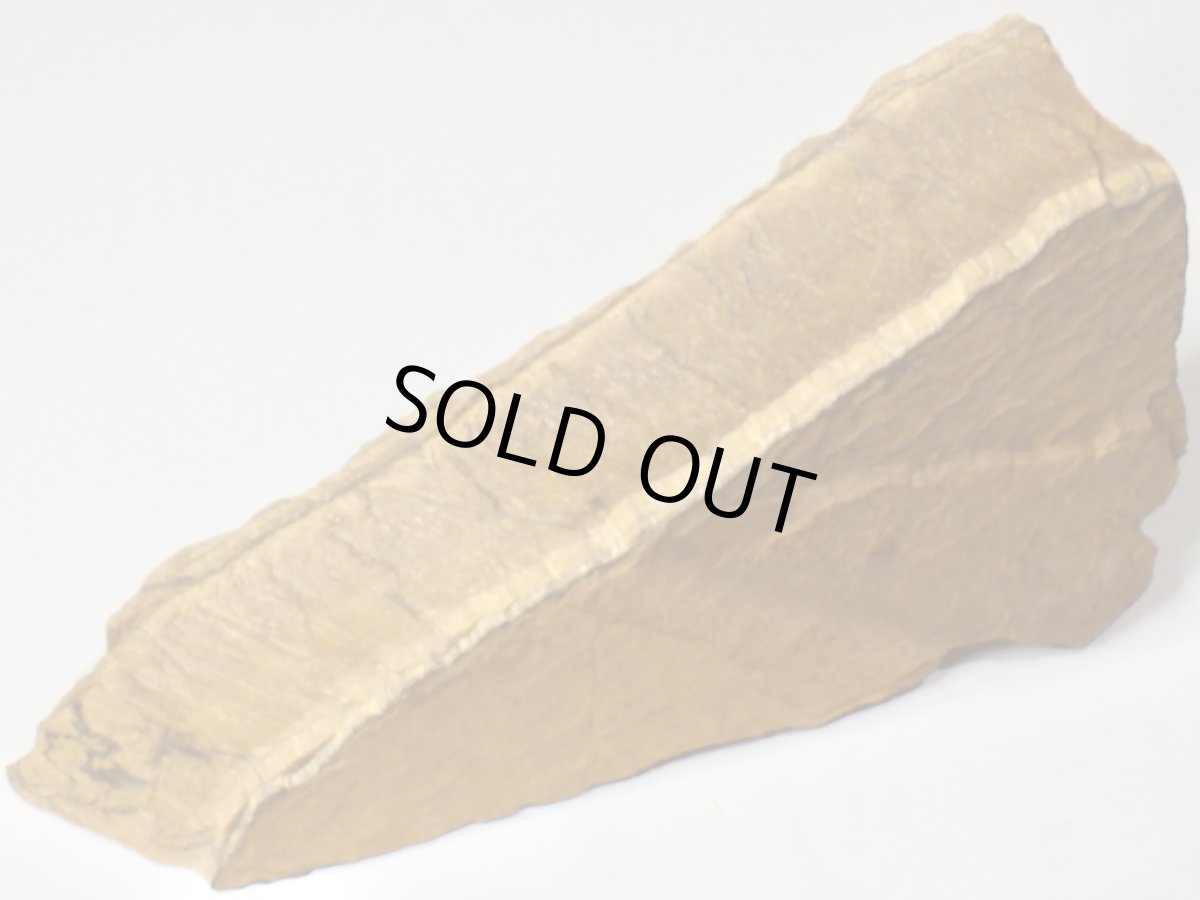 画像3: タイガーアイ原石Ｃ (3)