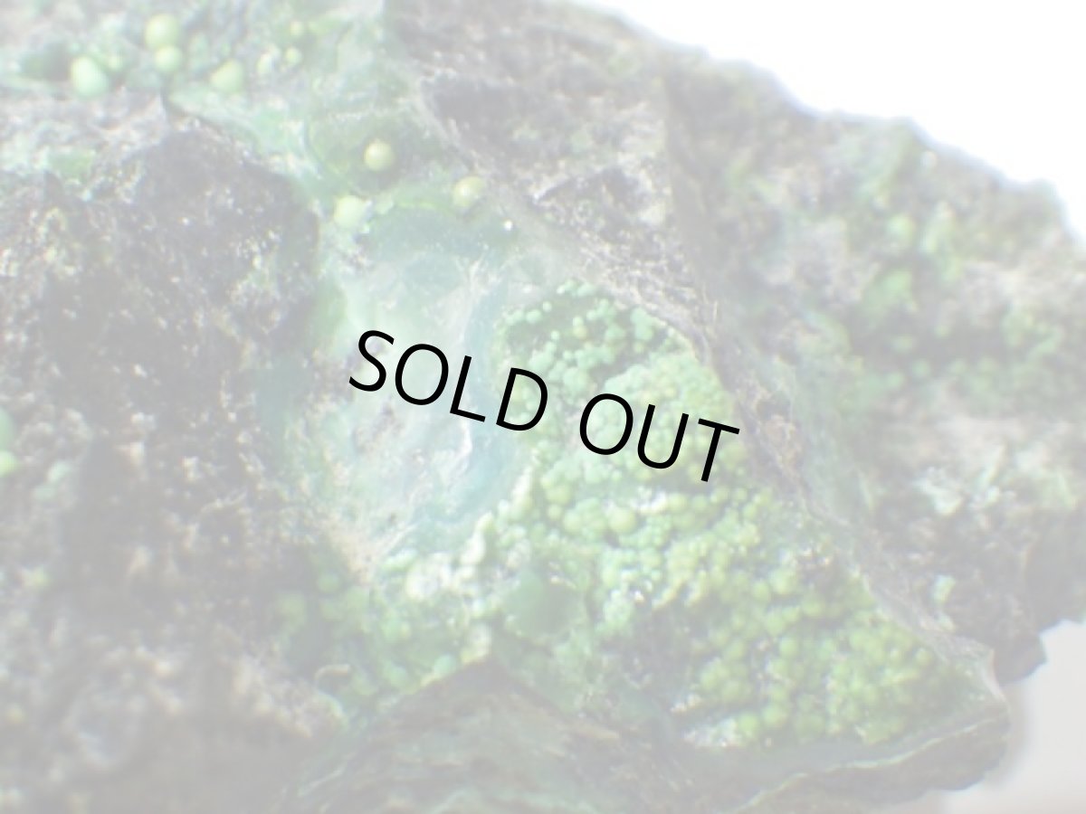 画像4: アリゾナ産クリソコラＩ (4)