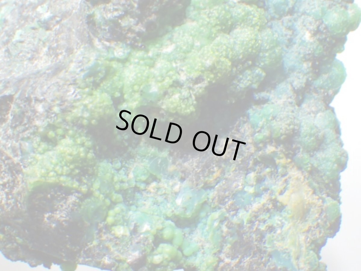 画像7: アリゾナ産クリソコラＩ (7)