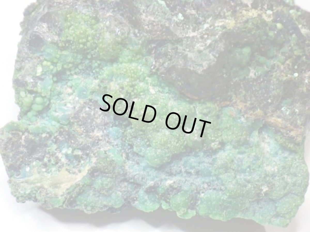 画像2: アリゾナ産クリソコラＩ (2)