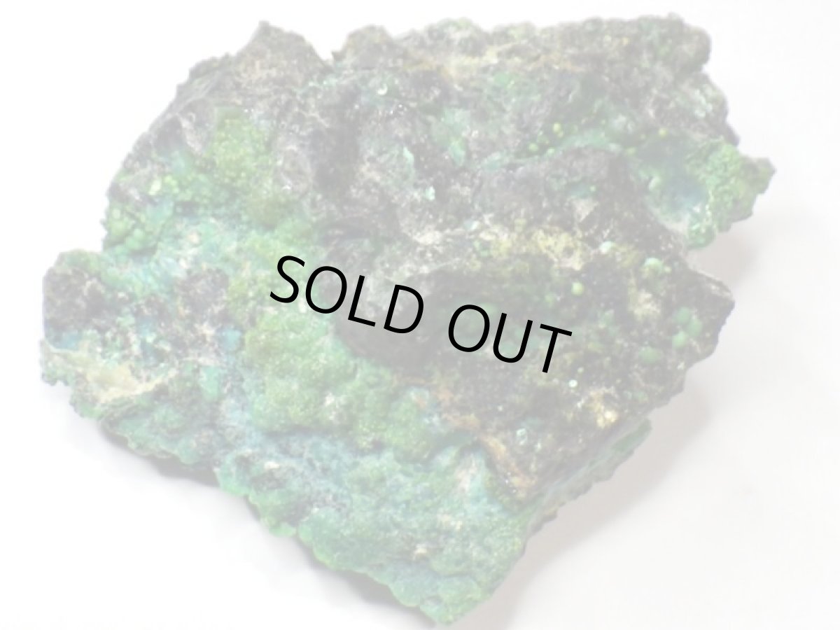 画像1: アリゾナ産クリソコラＩ (1)