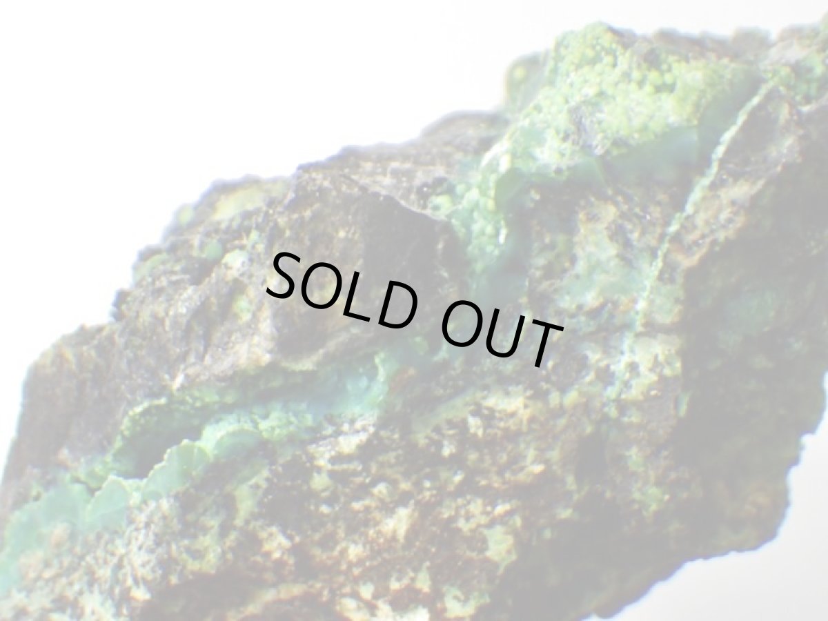 画像5: アリゾナ産クリソコラＩ (5)