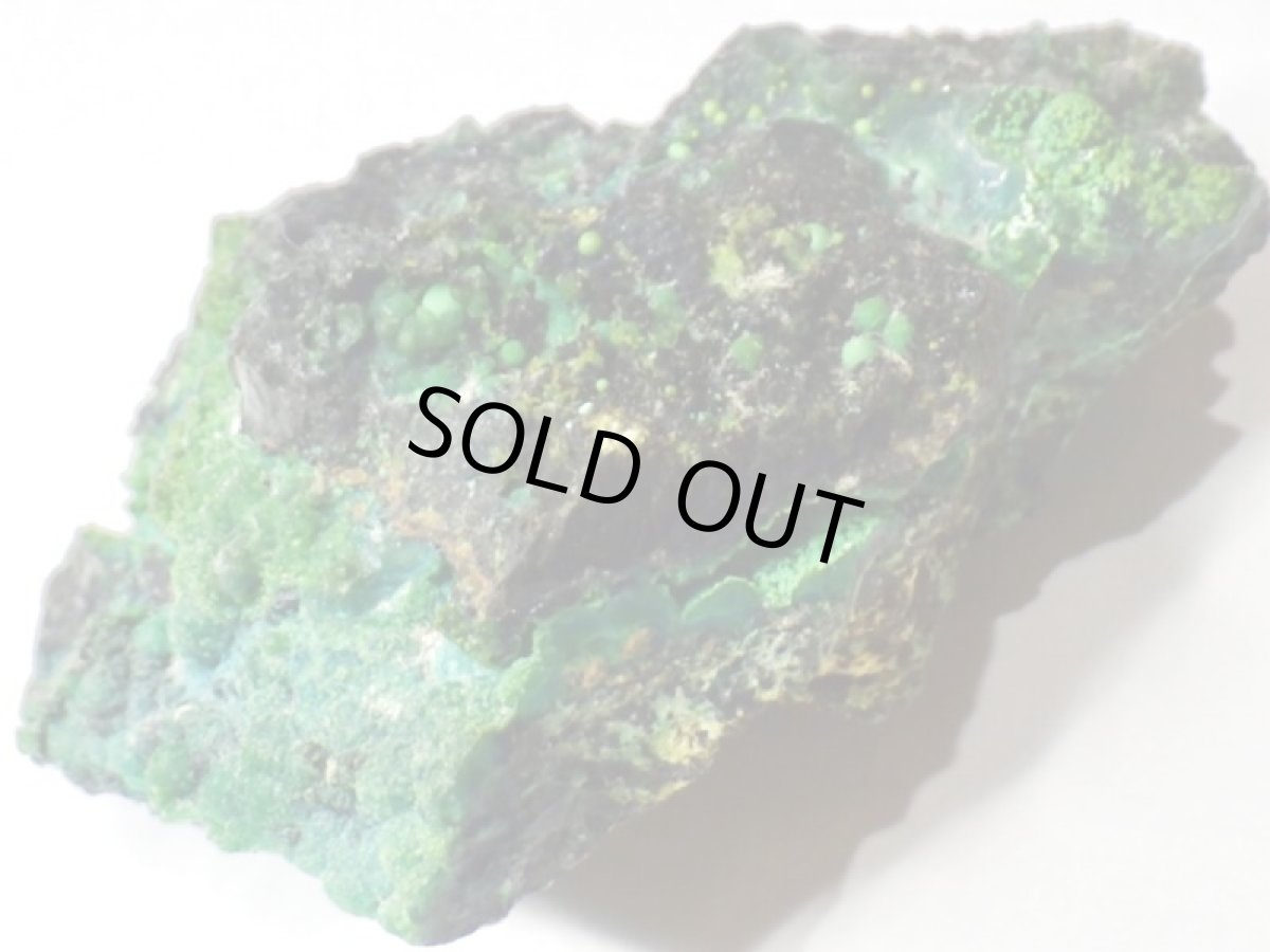 画像3: アリゾナ産クリソコラＩ (3)