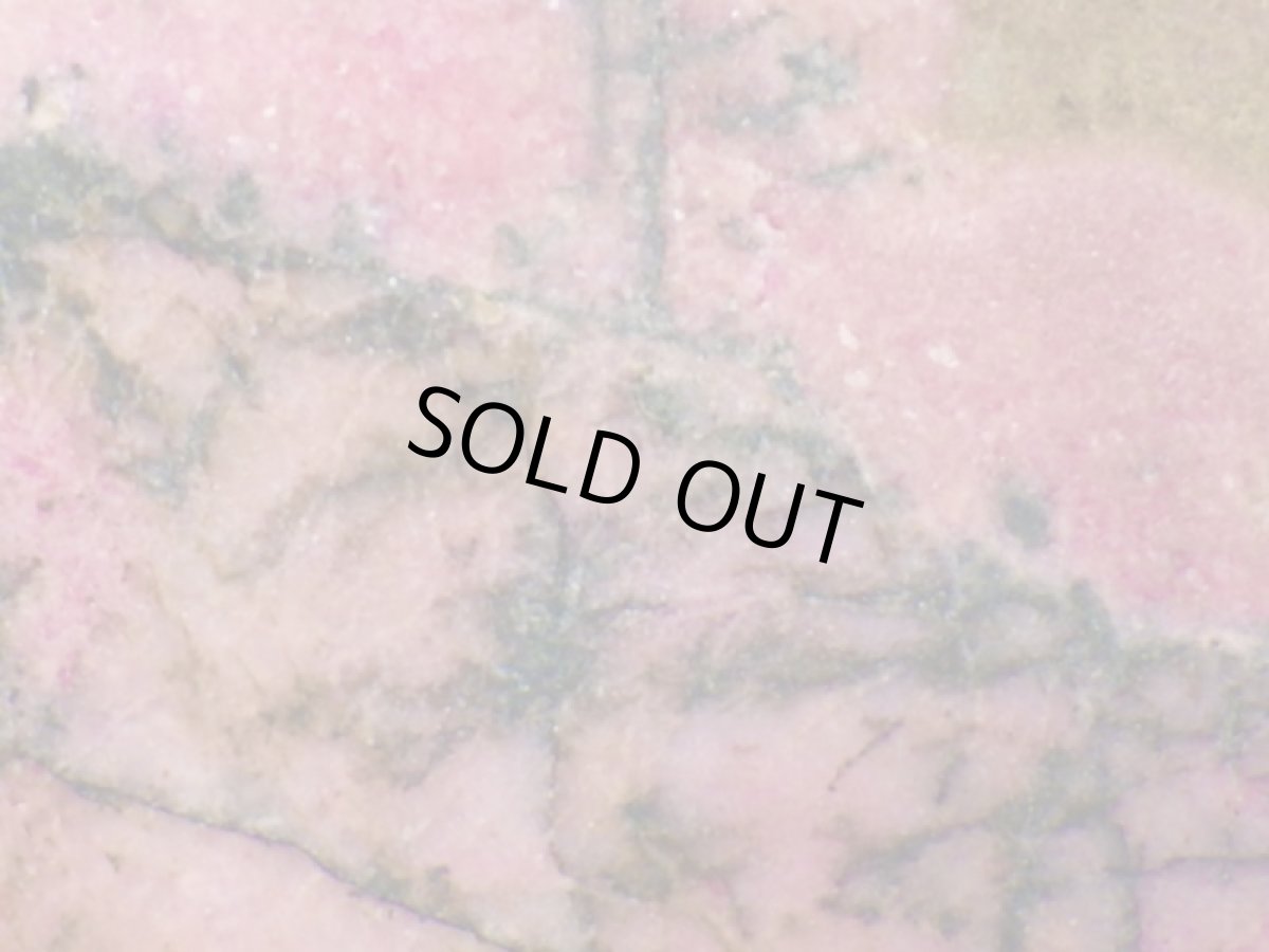 画像3: ロードナイトスライスB (3)