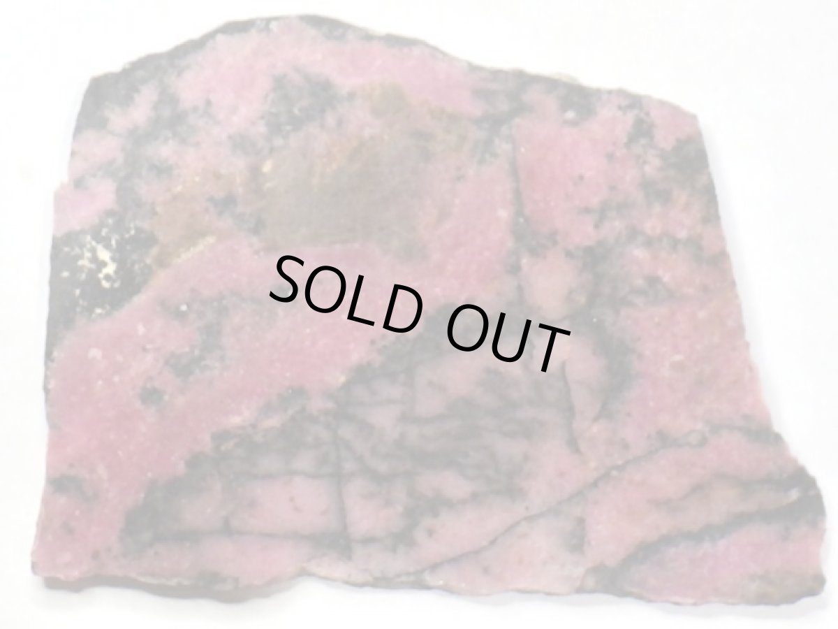 画像2: ロードナイトスライスB (2)