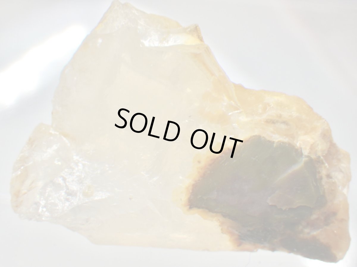 画像1: オレゴンオパールＬ (1)