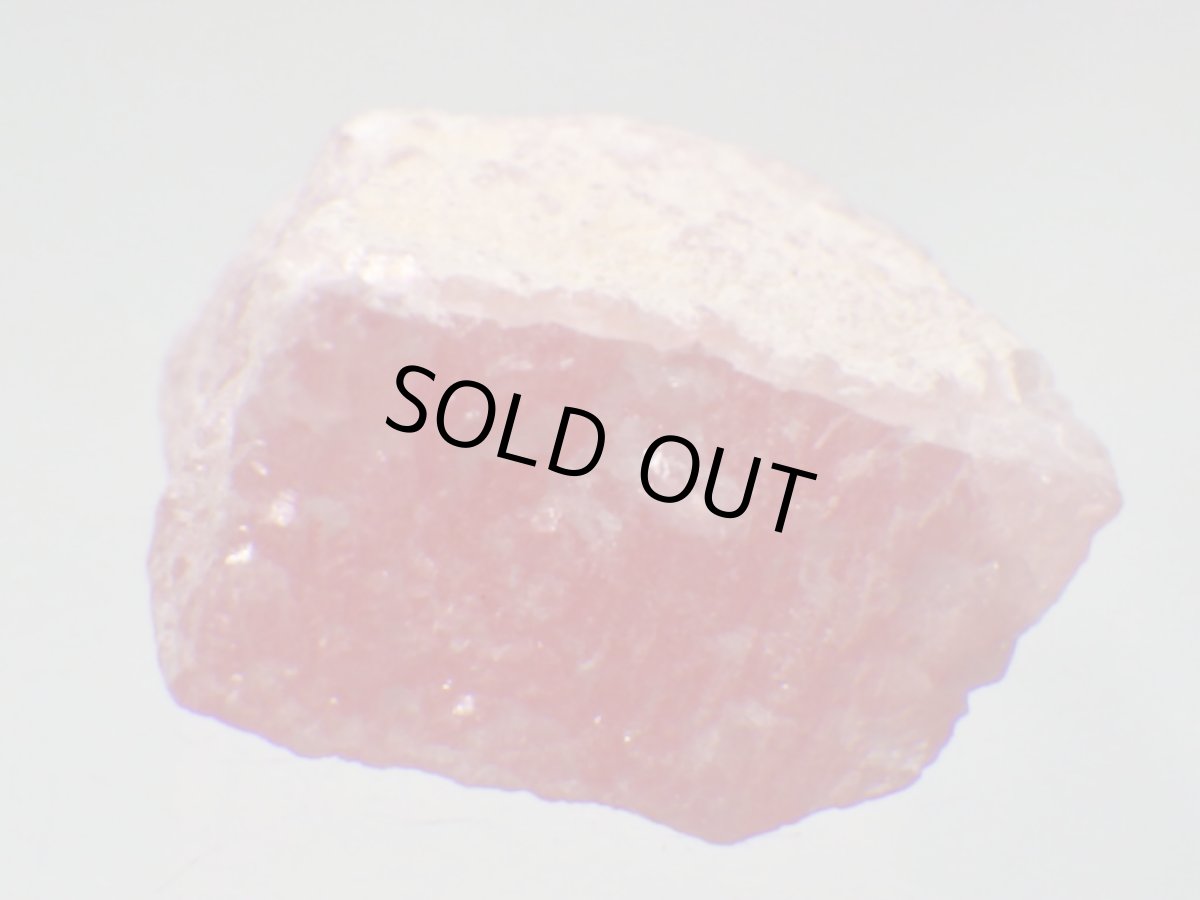 画像2: アルゼンチン産皮膜状インカローズＦ (2)