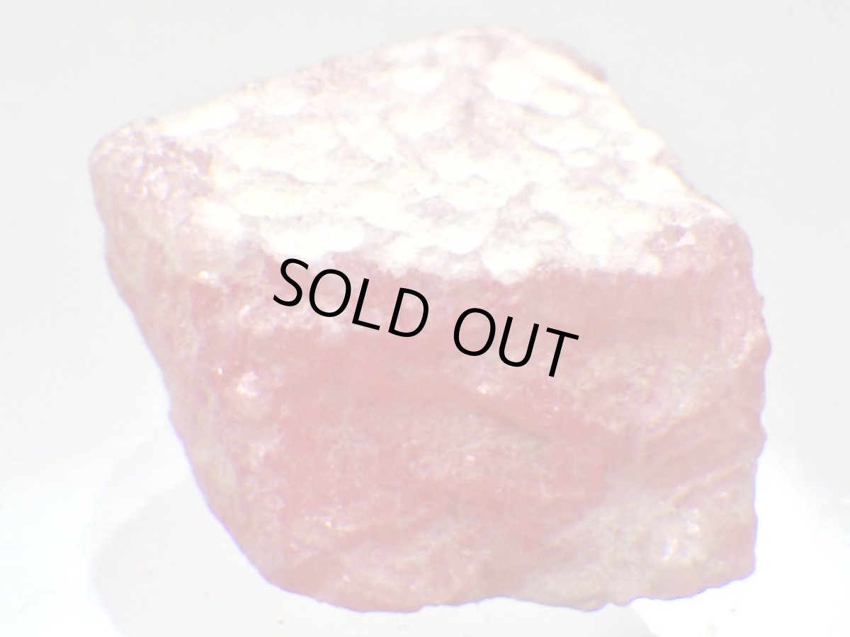 画像1: アルゼンチン産皮膜状インカローズＦ (1)