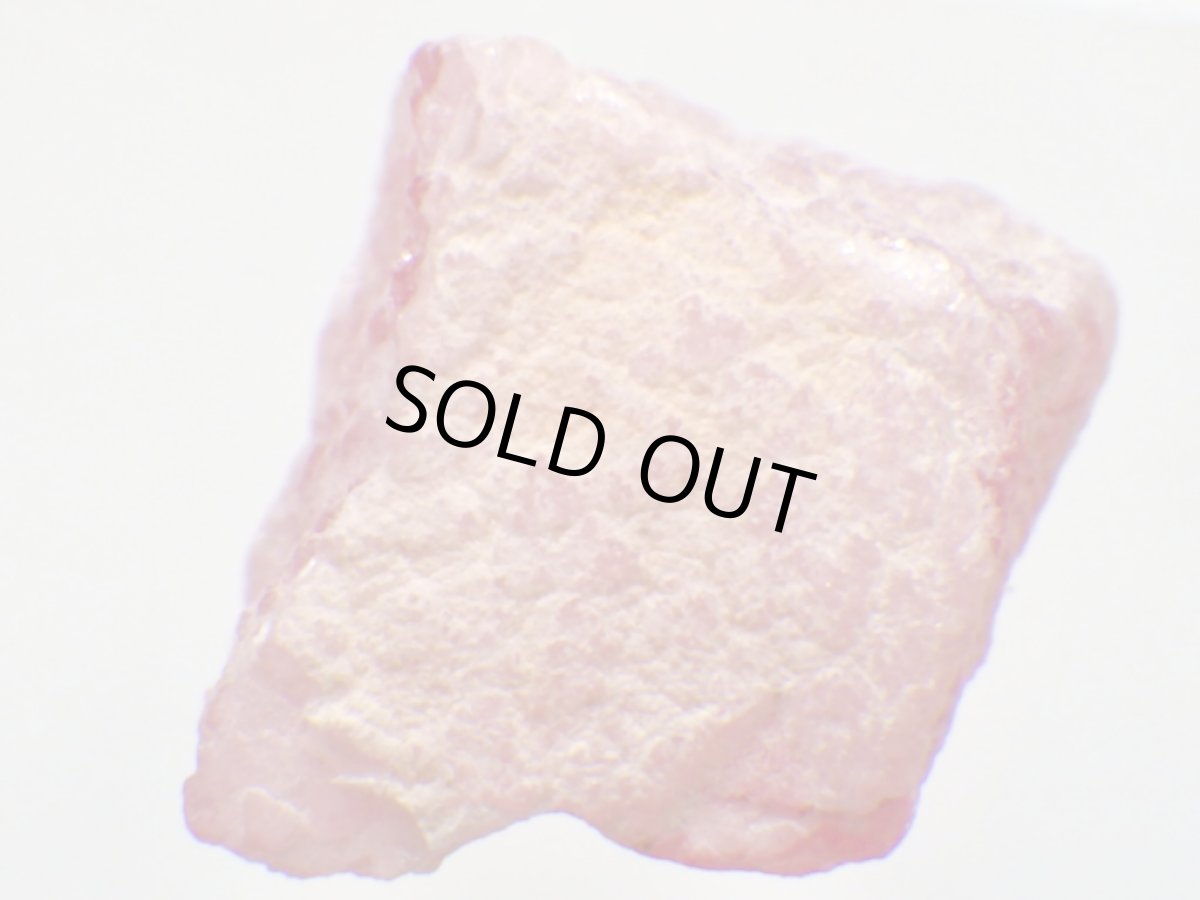 画像3: アルゼンチン産皮膜状インカローズＦ (3)