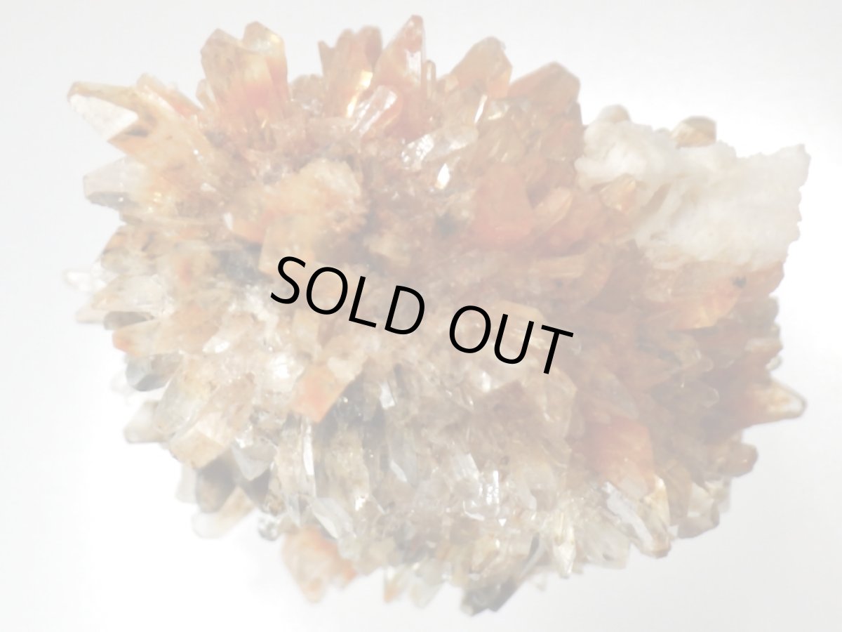 画像3: クリーダイトＨ (3)