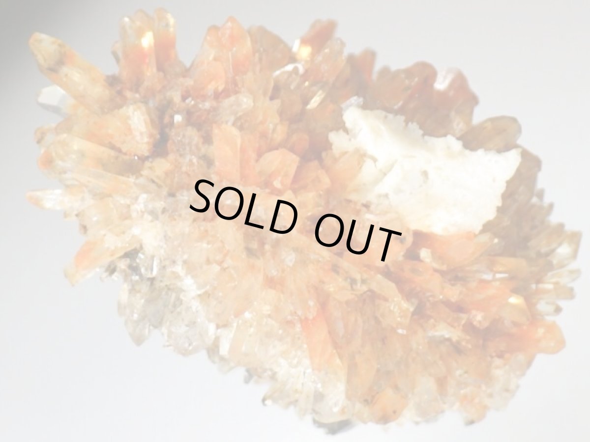 画像5: クリーダイトＨ (5)