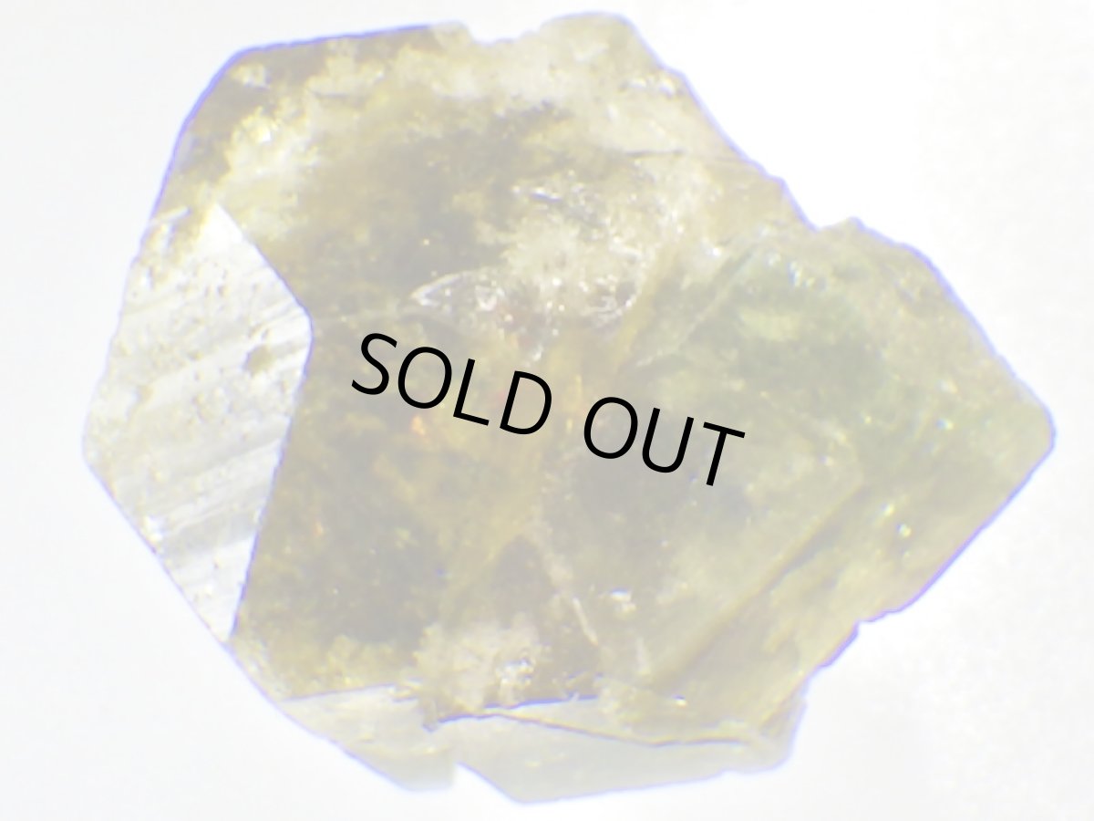 画像2: ブラジル産ウバイトＦ (2)