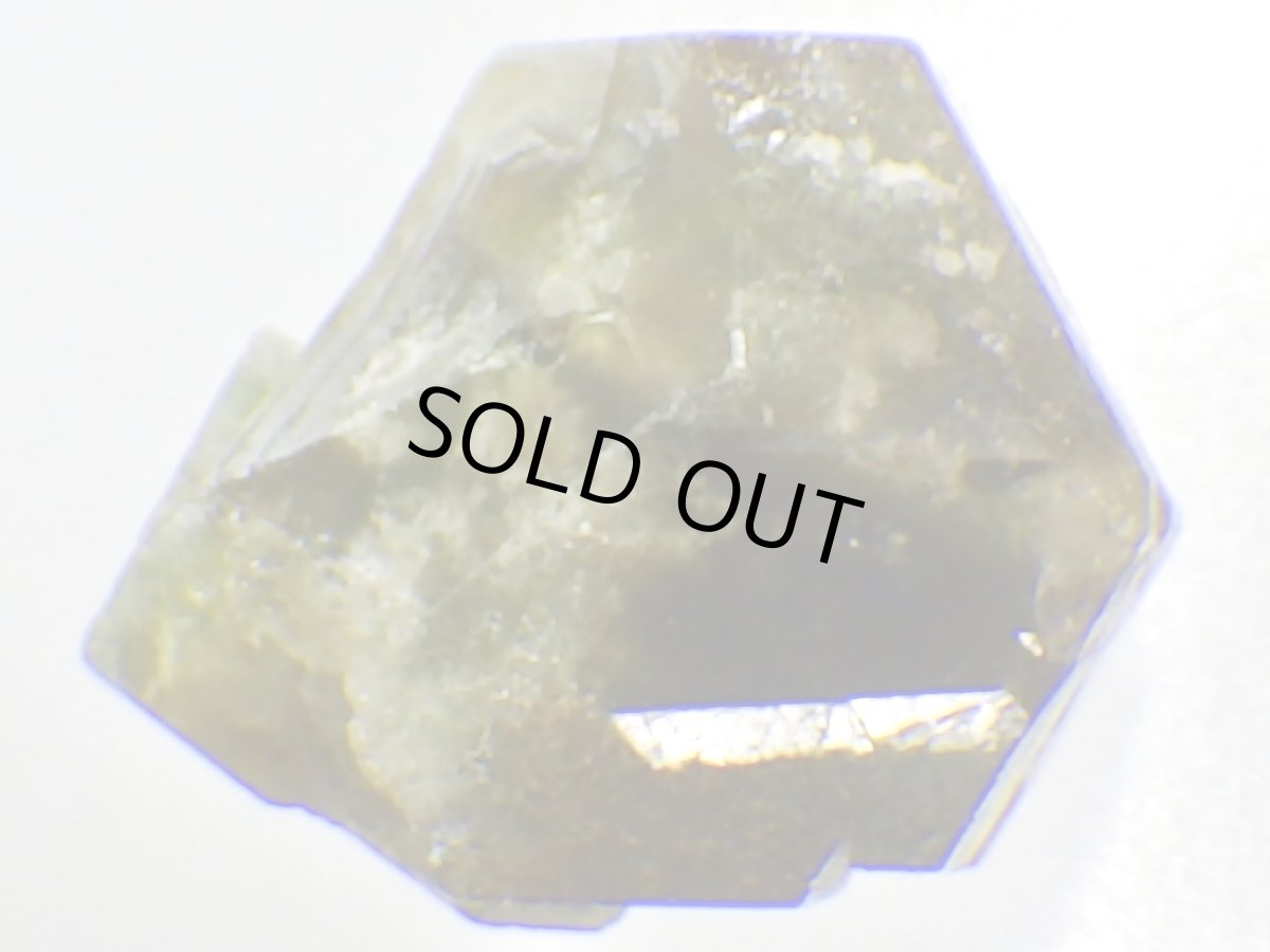 画像6: ブラジル産ウバイトＦ (6)