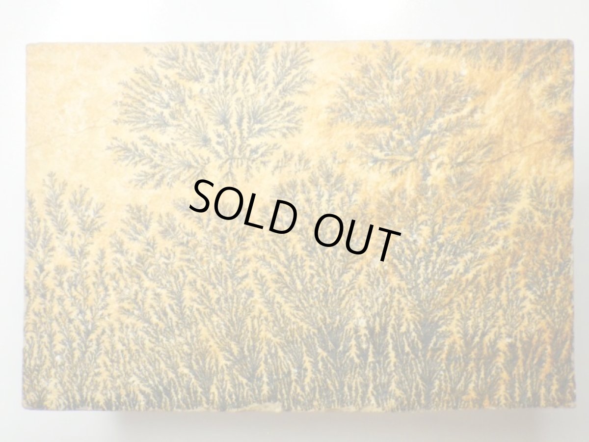 画像2: ドイツ産デンドライト板 (2)