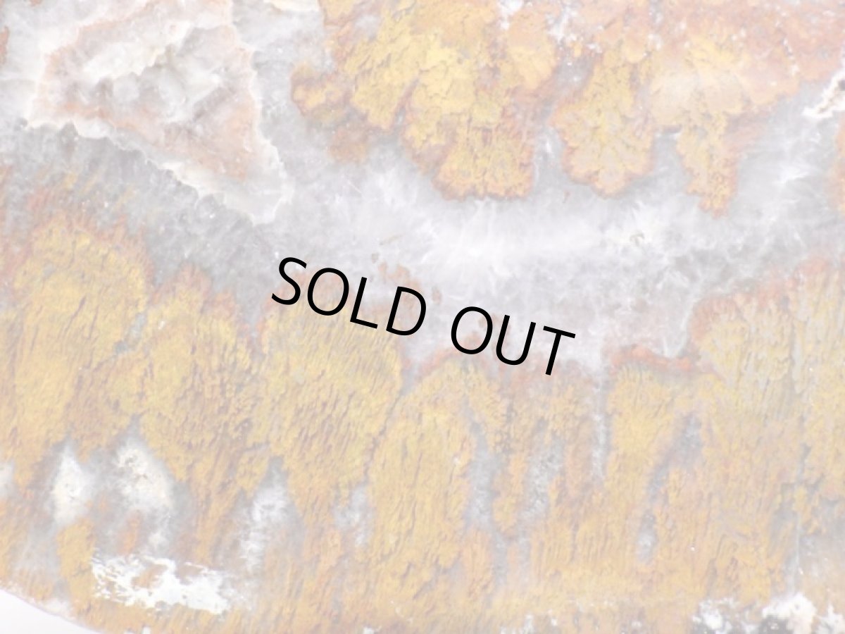 画像7: トルコ産プルームアゲート一面磨き大 (7)