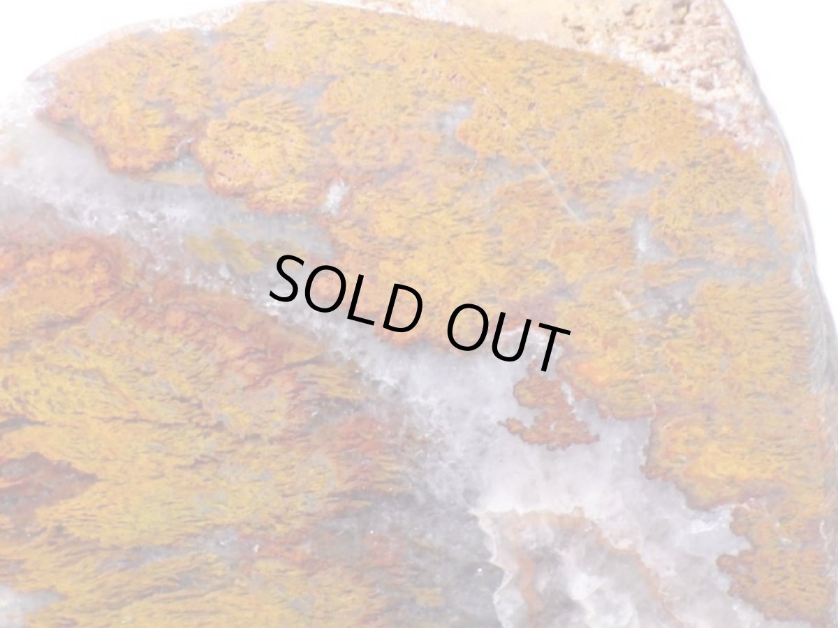 画像8: トルコ産プルームアゲート一面磨き大 (8)