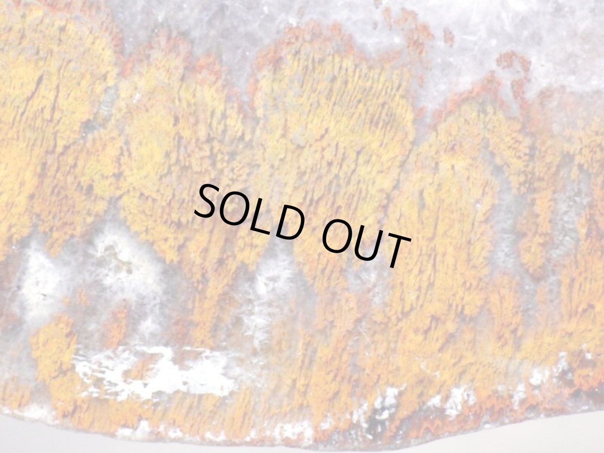 画像5: トルコ産プルームアゲート一面磨き大 (5)