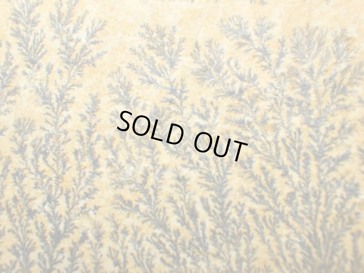 画像3: ドイツ産デンドライト板 (3)