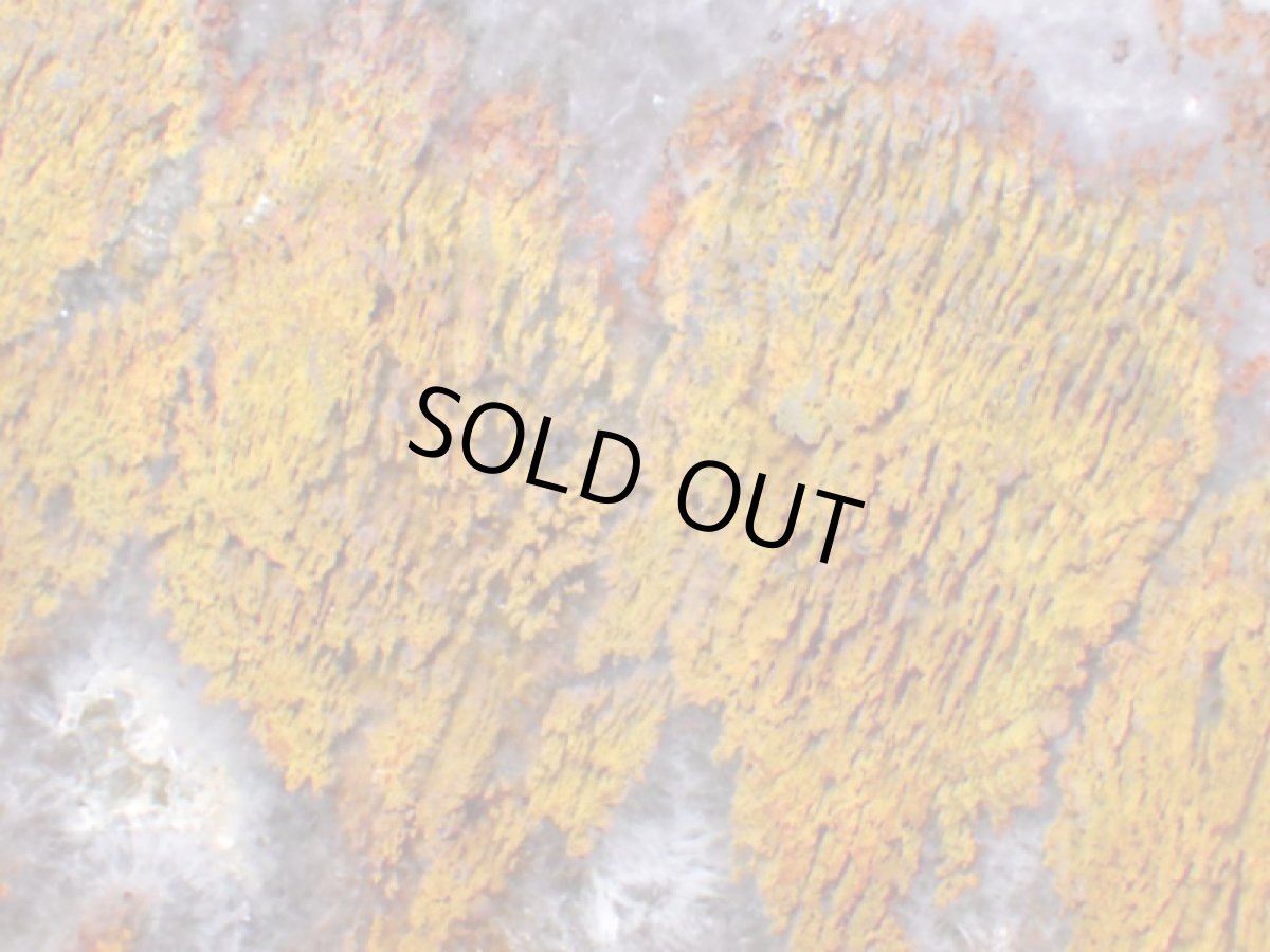 画像4: トルコ産プルームアゲート一面磨き大 (4)