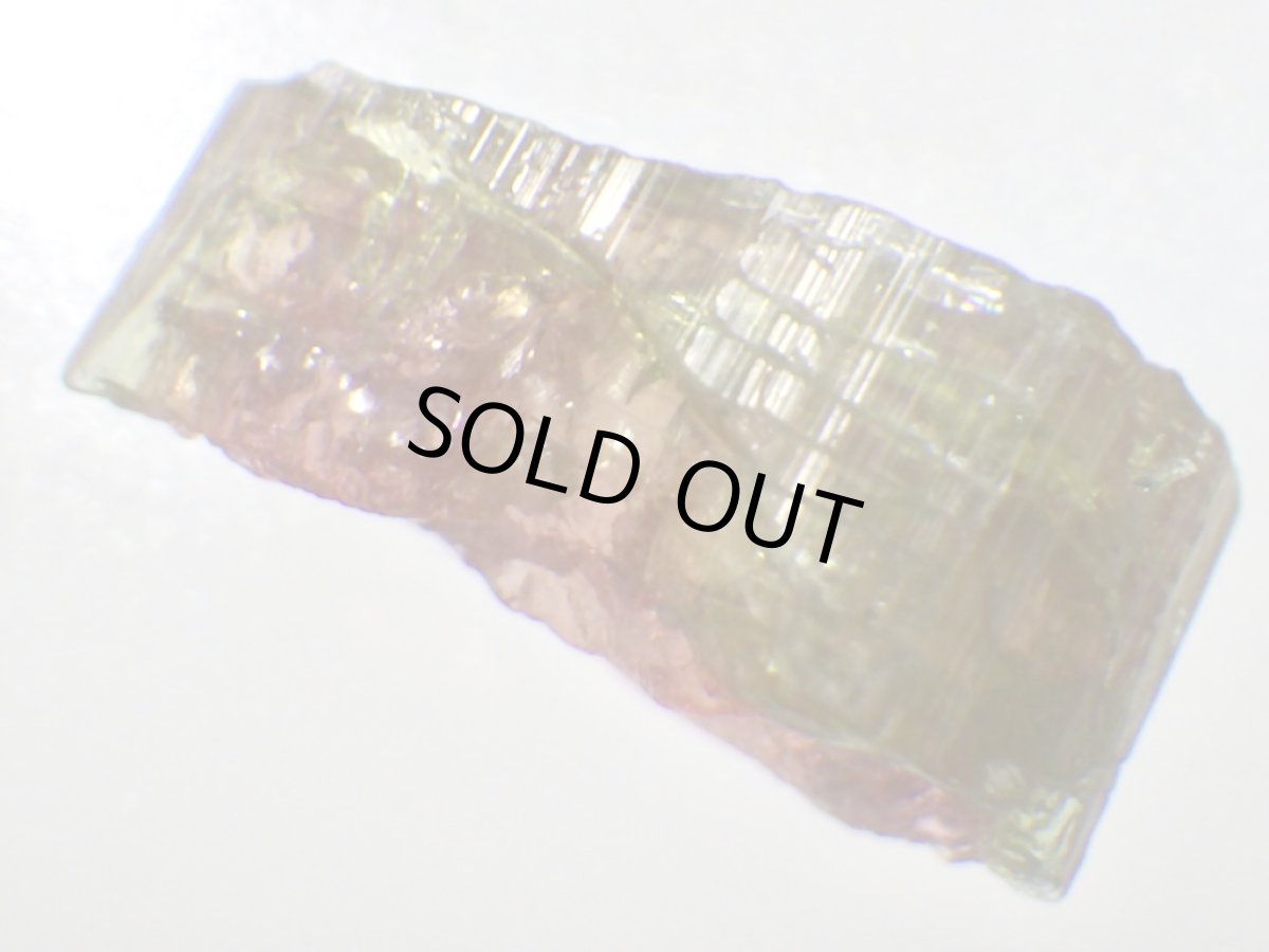 画像4: ブラジル産ウォーターメロントルマリンＤ (4)