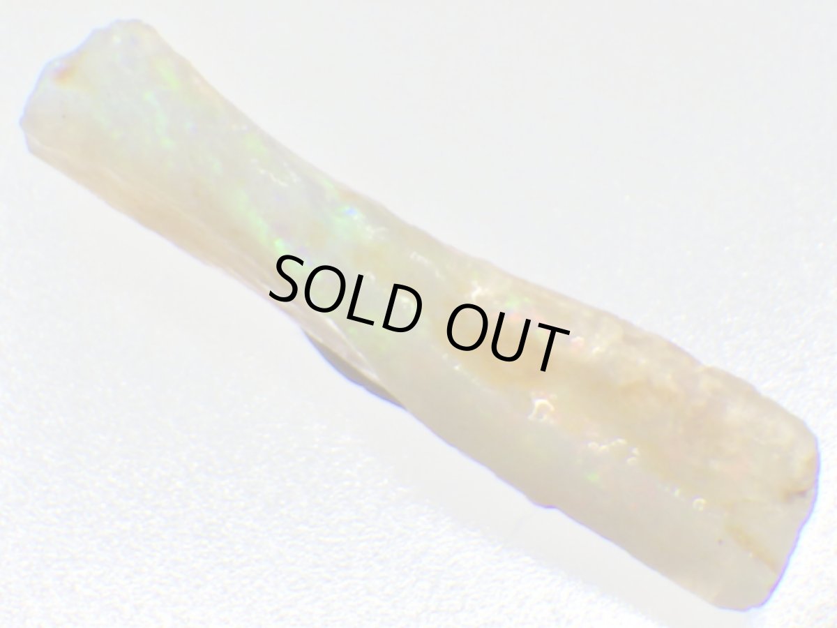 画像5: キルピー産オパール化骨化石Ｄ (5)