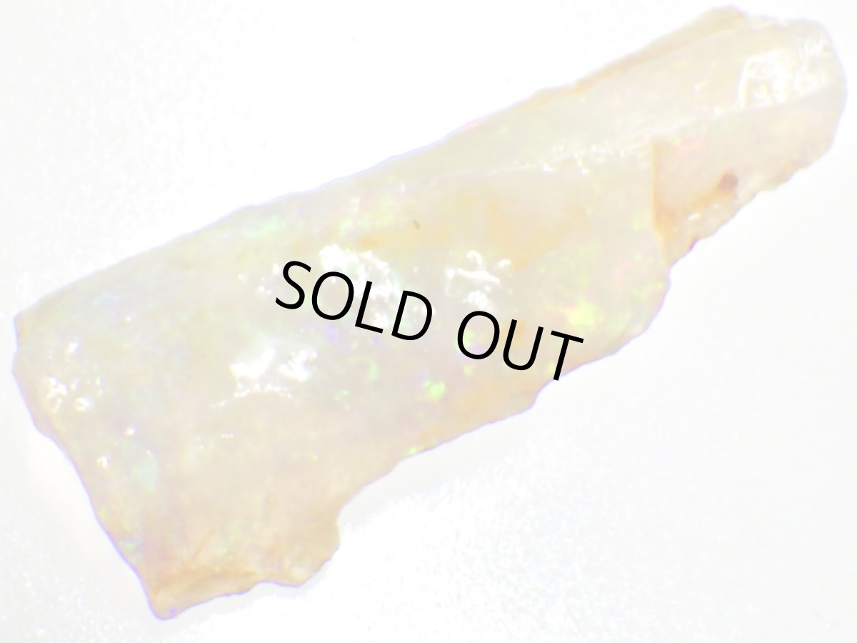 画像2: キルピー産オパール化骨化石Ｄ (2)