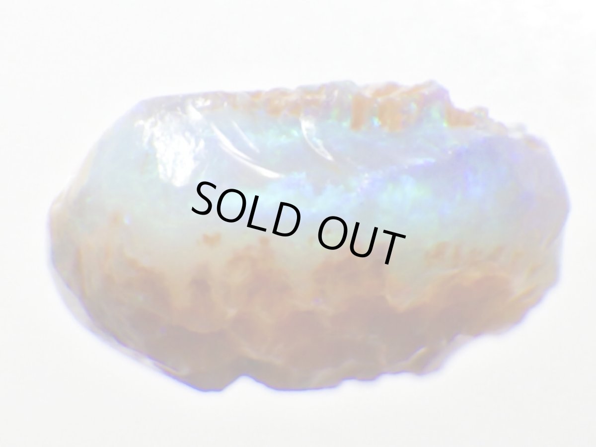 画像8: キルピー産オパール化骨化石Ｅ (8)