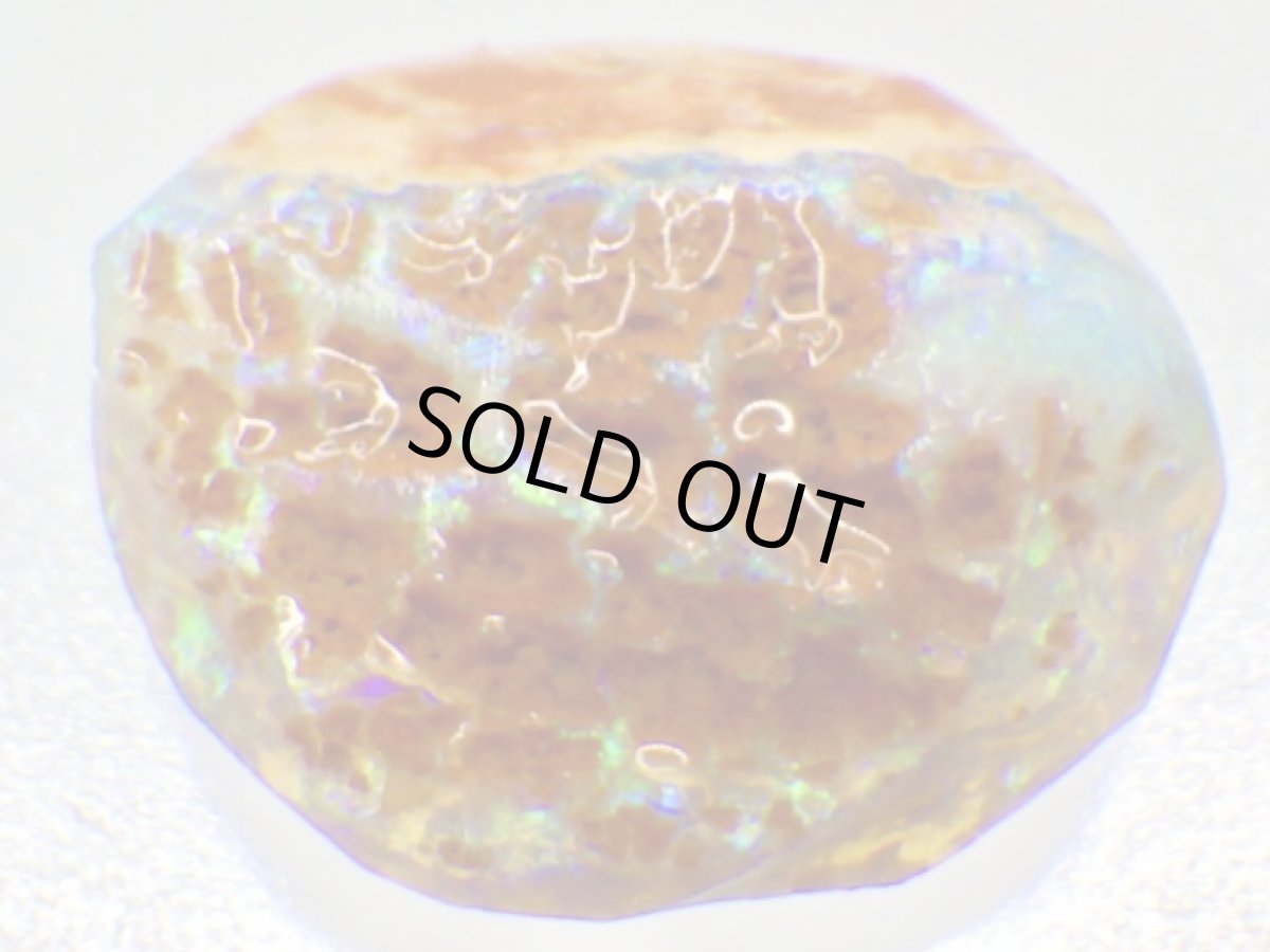 画像3: キルピー産オパール化骨化石Ｅ (3)