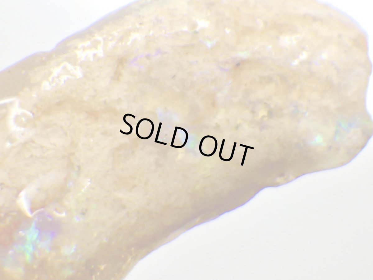 画像2: ライトニングリッジ産オパール化骨化石Ｅ (2)