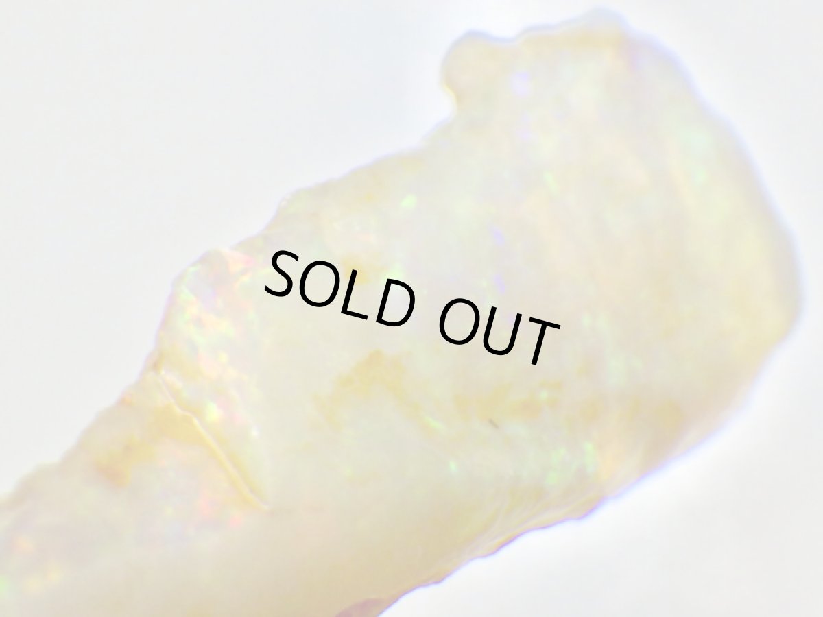 画像4: キルピー産オパール化骨化石Ｄ (4)